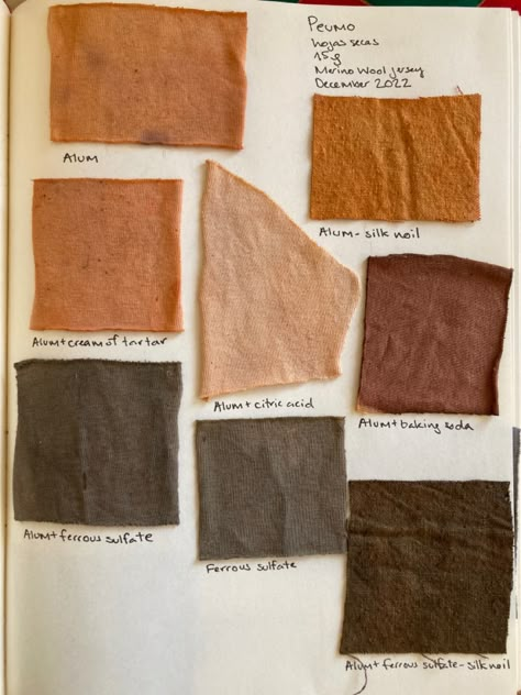 Swatches dyed with peumo, native tree of the sclerophyllous forest in Chile, with modifiers Natural Dye Color Palette, Dye Plants, Self Identity, Dye Studio, Warm Minimalism, Botanical Dye, Silk Noil, Local Color, Eco Print