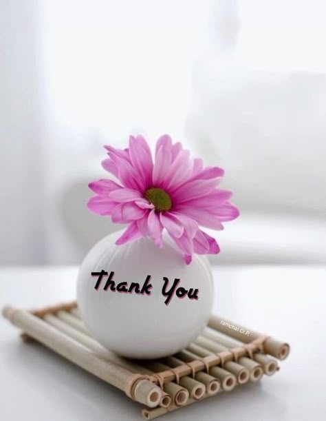 Good Ringtones, Wallpaper For Friends, Thank You Messages Gratitude, Thank You Wallpaper, Thanks For Birthday Wishes, Thank You For Birthday Wishes, Thank You Pictures, Morning Wallpaper, Thank You Wishes