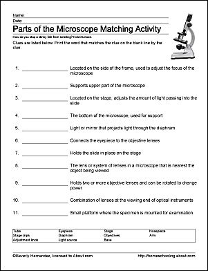 Parts of the Microscope Worksheet Microscope Worksheet, Teaching Cells, Science Cells, Middle School Science Classroom, Interactive Websites, Biology Worksheet, History Worksheets, Biology Classroom, 7th Grade Science