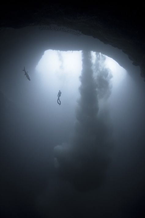 The "Iggy spot" @ Dean's Blue Hole Cave Diving, Blue Hole, Underwater Art, Image Film, Swimming Holes, The Bahamas, Underwater Photography, Underwater World, Fantasy Landscape