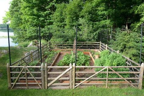 vegetable+garden+land+scape+design | Creating Perfect Garden Designs to Beautify Backyard Landscaping Ideas Small Garden Fence, Rustic Garden Fence, Fenced Vegetable Garden, Garden Fence Ideas, Deer Fence, Rustic Fence, Garden Vines, Budget Garden, Backyard Vegetable Gardens