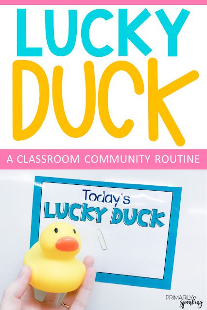 Classroom Take Home Buddy, Lucky Ducky Classroom Management, Kindergarten Classroom Behavior Management, Lucky Ducky Classroom, Incentives For Preschoolers, Behavior Boards Classroom, Classroom Management Ideas Preschool, Classroom Duck Theme, Lucky Ducks Classroom Jar