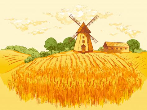 Wheat Field Illustration, Seaweed Pasta, Wheat Illustration, Friendship Journal, Field Corn, Landscape Field, Orange Farm, Countryside Art, Logo Watercolor