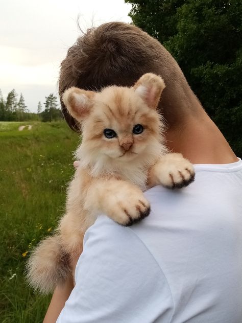 Realistic Stuffed Animals, Kitten Art, Different Poses, Pet Fox, Realistic Dolls, Animal Toys, Handmade Plush, Baby Kittens, Needle Felted Animals