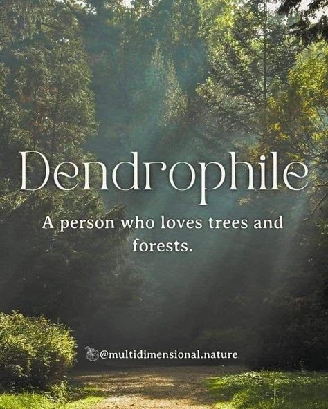 Strong Words With Meaning, Pretty Nature Words, I Love Nature Quotes, Trees Quotes Nature, Nature Words Unique, Aesthetic Meaningful Words, Words For Nature, Mother Nature Aesthetic, Words About Nature