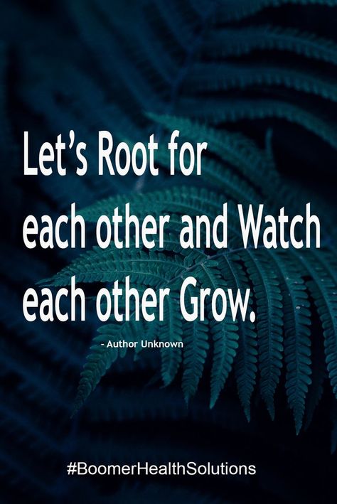 Back To Our Roots, Roots Quotes, Life Lessons, You Must, Leadership, The Future, Don't Forget, Motivational Quotes, Inspirational Quotes