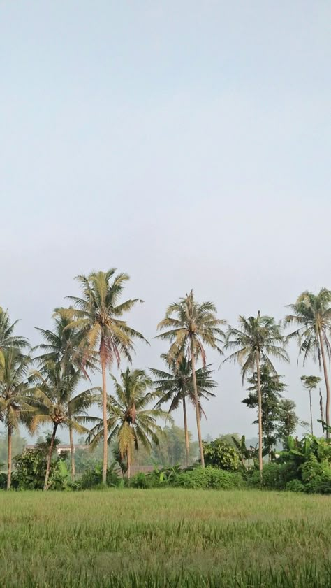 Bukid Life, Fb Highlights, Photoshop Render, Photoshop Rendering, Modern Background, Sky Photography Nature, Village Photography, Abstract Wallpaper Design, Munnar