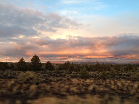 Central Oregon between Prineville and Madras Madras Oregon, Prineville Oregon, Travel Oregon, Eastern Oregon, Oregon City, Scenic Photos, Jefferson County, Southern Oregon, Central Oregon