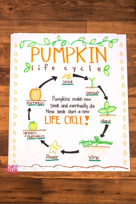 Teach your students about the life cycle of a pumpkin with this pumpkin anchor chart. I've included other pumpkin and Halloween themed activities in this blog post from Simply STEAM. Life Cycle Of A Pumpkin Anchor Chart, Pumpkin Activities For Second Grade, Pumpkin Life Cycle Anchor Chart, Parts Of A Pumpkin Anchor Chart, Steam Pumpkin Activities, Pumpkin Life Cycle Kindergarten, Pumpkin Anchor Chart, Odd And Even Games, Stem Task Cards