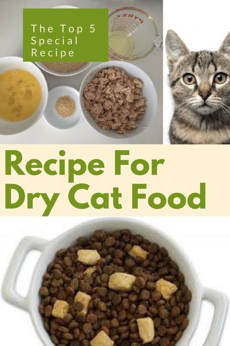 cat food
dry cat food
recipe Dry Cat Food Recipe, Simple Homemade Cat Food, Homemade Dry Cat Food, Homemade Kitten Food, Bengal Cat Drawing, Black Bengal Cat, Cat Food Recipe, Diy Cat Treats, Diy Cat Food