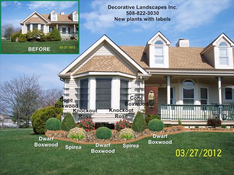 Bay Window Garden, Window Garden Ideas, Boxwood Landscaping, Landscape Ideas Front Yard Curb Appeal, Front Yard Landscape, Front Yard Plants, Porch Landscaping, Yard Landscape, Backyard Landscape