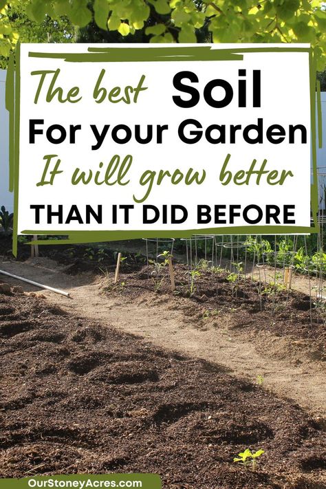 What is the best vegetable garden soil? In this article, I am going to teach you about the 3 main components of garden soil and what the best vegetable garden soil is. You will learn how to improve your garden soil and what is the best garden soil for raised beds. Find even more garden ideas, gardening tips and gardening hacks. Prepare Soil For Vegetable Garden, Soil For Vegetable Garden, Raised Garden Bed Soil, Garden Soil Preparation, Garden Soil Mix, Vegetable Garden Soil, Vegetable Garden Beds, Medicinal Garden, Garden Plots