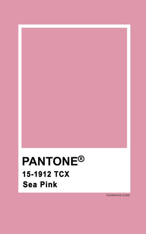 Pantone Color Palettes Archives 2 - Fab Mood | Wedding Colours, Wedding Themes, Wedding colour palettes Dark Pink Pantone, Autumn Wedding Colors, Wedding Colour Palettes, Dark Pink Colour, Pink Pantone, Fab Mood, Mood Wedding, Pantone Color Chart, Pantone Swatches