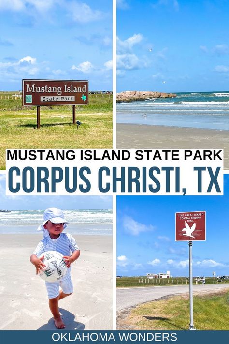 Mustang Island State Park, North Padre Island Texas, Port Aransas Texas Things To Do In, Port Aransas Texas Beach, Mustang Island Texas, Port Aransas Beach, Houston Bars, Port Aransas Texas, Padre Island Texas