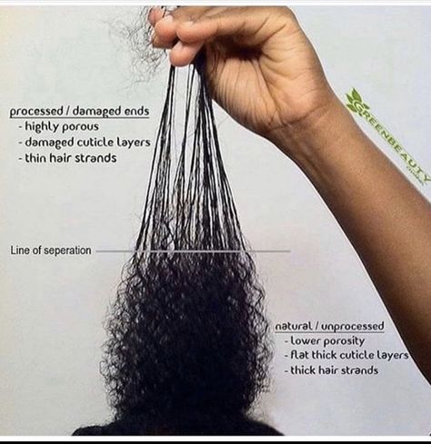 Damaged Natural Hair, Heat Damaged Natural Hair, Heat Damaged Hair, Natural Hair Transitioning, Transitioning Hairstyles, Ash Blonde Hair, Wavy Curly Hair, Coily Hair, Natural Hair Tips