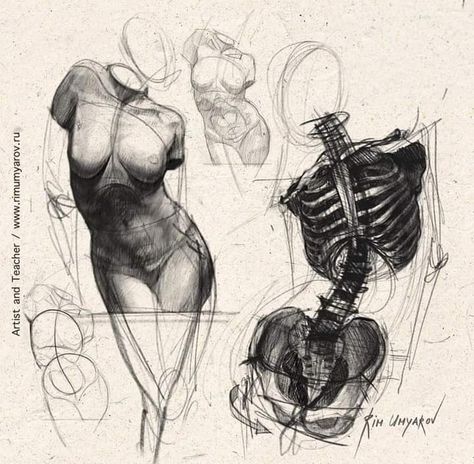 Human Figure Sketches, Human Anatomy Drawing, Human Figure Drawing, Academic Art, Human Anatomy Art, Anatomy Sketches, Anatomy For Artists, Charcoal Art, Figure Sketching