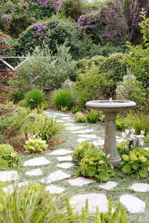 52 Best landscaping ideas & designs for front & backyard garden, outdoor kitchen, patio, deck, hardscape, pergola, plants, lighting, DIY projects, & more! - A Piece of Rainbow, roof gardens, balcony, small space gardening, flowers, container gardens, pots, greenhouse, shed, english garden, perennial, low maintenance, shade pergola Garden Outdoor Kitchen, Best Landscaping Ideas, Birdbath Fountain, Plants Lighting, Drought Resistant Landscaping, Bath Garden, Drought Resistant Plants, Drought Tolerant Garden, Drought Tolerant Landscape