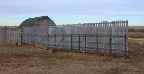 Cattle Comfort In Winter Pays In A Lot Of Ways Stable Inspiration, Cattle Facility, Raising Livestock, Livestock Shelter, Horse Fence, Snow Fence, Raising Cattle, Homestead Animals, Horse Shelter