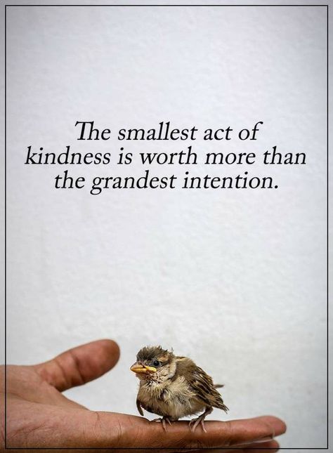 Acts Of Kindness Quotes, Act Of Kindness Quotes, Financial Intelligence, Kindness Quote, Act Of Kindness, Small Acts Of Kindness, Acts Of Kindness, Kindness Quotes, Wonderful Words