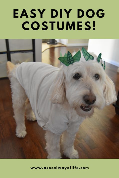 Easy Pet Costumes, Diy Dog Halloween Costumes, Dog Ghost Costume, Diy Pet Costumes, Dog Onesies, Diy Dog Costumes, Dog Light, Halloween Festivities, Pet Halloween Costumes