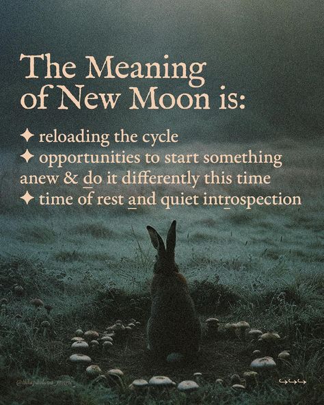 Mark the date: it’s May 7🌑 Celebrate this New Moon with some magic rituals, no matter simple or elaborate ones (By the way, I’ve spelled my favorite New Moon ritual step by step in the previous video, have a look: @lidapavlova_magic ) The tarot decks you can see in this post are Sabotage tarot & Bird King tarot, both by my own publishing company, you can get them if you want to🌝 Big thanks for every like & share on this post🪽 With love for all magical beings, Lida New Moon Ritual, Magical Beings, The Moon Tarot, Moon Ritual, New Moon Rituals, Moon Journal, Full Moon Ritual, Dark Moon, Big Thanks