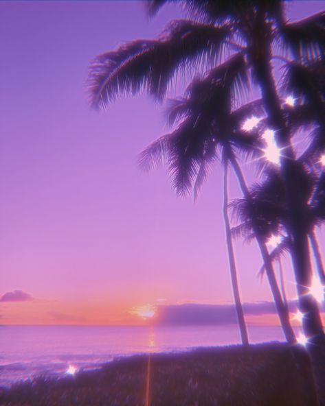 ✨🌷🌺💫🐚 Purple Palm Tree Aesthetic, Purple Palm Trees, Purple Aesthetic For Widgets, Aesthetic For Widgets, Paradise Drawing, Disney Hawaii, Trouble In Paradise, Ipad Widgets, Palm Trees Wallpaper