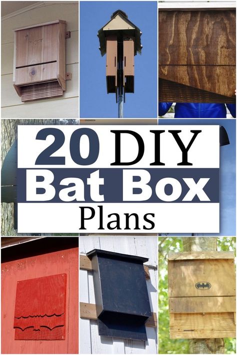 20 DIY Bat Box Plans Bat Box Plans, How To Attract Bats, Bat House Diy, Diy Wedding Hacks, Build A Bat House, Attract Bats, Bat House Plans, Bat Boxes, Diy Wall Hangings