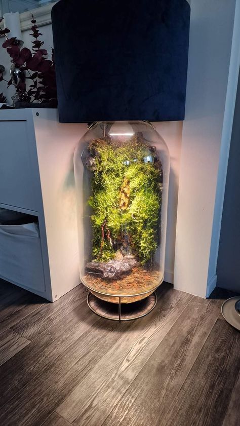 Terrarium Lamp, Forest Lamp, Fish Tank Terrarium, Aquascape Design, Organic Art, Terrarium Decor, Terrarium Diy, Garden Terrarium, Plant Decor Indoor