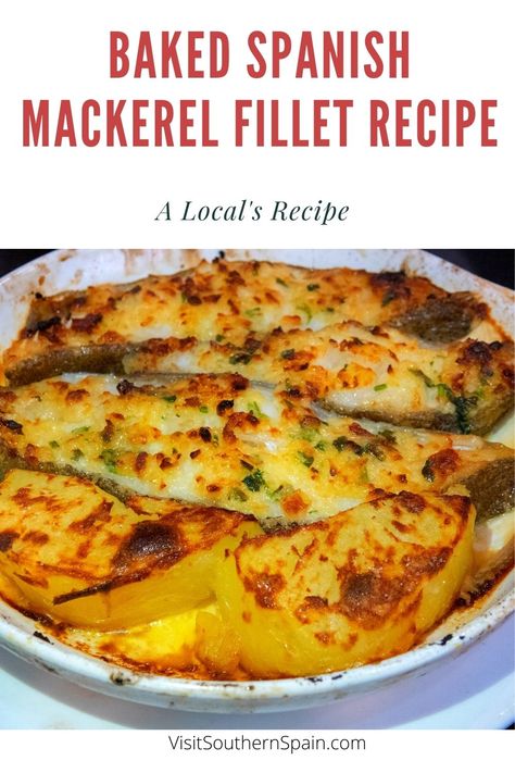 Spanish Mackeral Recipes, Recipes With Mackerel, Mackrell Fish Recipes Dinners, How To Cook Spanish Mackerel, Baked Mackerel Recipe, Healthy Mackerel Recipe, Spanish Mackerel Fish Recipes, Mackrell Recipes Baked, Fresh Mackerel Recipes