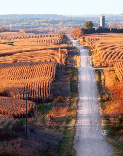 Rural Landscape of Northeast Iowa by Igor Kovalenko, via 500px Iowa Farms, Corn Field, Dirt Roads, Rural America, Country Roads Take Me Home, The Road Less Traveled, Country Landscaping, Road Less Traveled, Winding Road