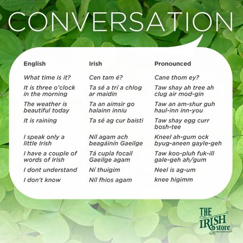 Everyday Conversation Irish Phrases Recipes Dumplings, Gaelic Phrases, Irish Alphabet, Irish Gaelic Language, Irish Phrases, Irish Slang, Malaysian Recipes, Armenian Food, Noodle Soups