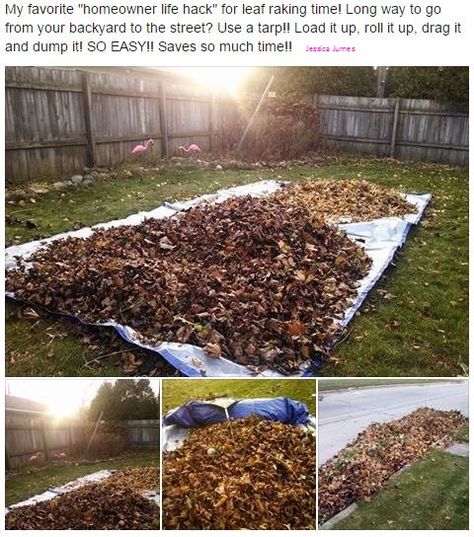 LEAF (life) Hack!;) My favorite "leaf raking" hack if you have a distance from your back yard to the location where you need to dump the leaves. Get a large (10' x 20') tarp, rake the leaves on it, roll it a bit, use your rake to anchor the rolled end, drag it & dump it! SO EASY! I did my entire property alone and it took me half the time (...and half the blisters!!) that it took last year!  Happy fall!:) Cleaning Yard Hacks, Leaf Cleanup Hacks, Yard Work Hacks, Yard Hacks, Leaf Clean Up, Lawn Vacuum, Leaf Mold, Garden Cleaning, Yard Cleanup