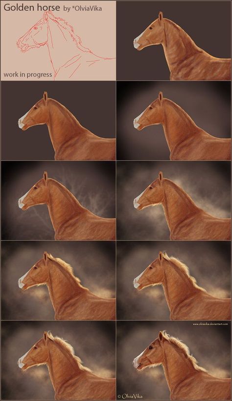 1010 Golden horse digital painting progression, from sketch to detailed artwork by OliviaVika. | Sky Rye Design Horse Drawing Tutorial, Horse Pencil Drawing, 3d Horse, Horse Art Drawing, Horse Sketch, Horse Anatomy, Golden Horse, Horse Inspiration, Mermaid Drawings