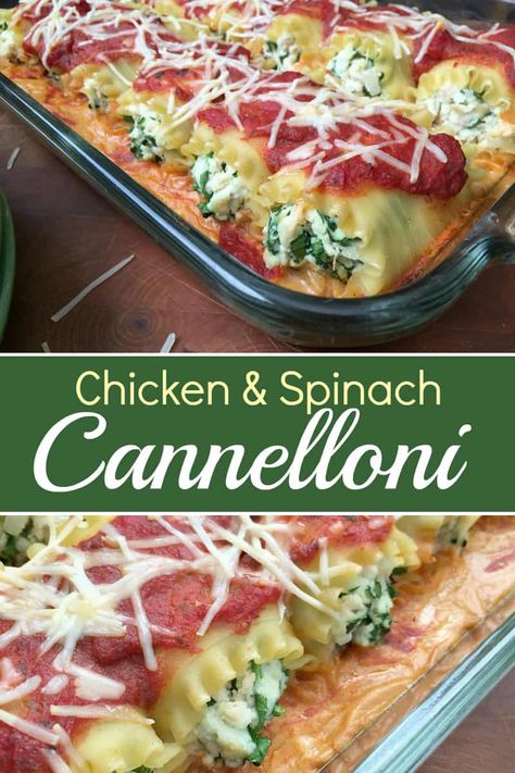 Stuffed Cannolini, Spinach Cannelloni, Chicken Lasagna Rolls, Cannelloni Pasta, Lasagna Cups, Cannelloni Recipes, Food Knowledge, Yummy Pasta, Stuffed Pasta