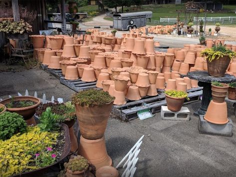 Old Country Stores, Traditional Pottery, Garden Pottery, Heritage Garden Pottery, Wild Game Dinner, Terracotta Vases, Garden Center Displays, Strawberry Pots, Yard And Garden