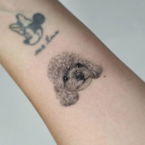 Poodle Tattoo, minimalist poodle tattoo, poodle tattoo ideas, toy poodle tattoo, poodle tattoo outline, standard poodle tattoo, simple poodle tattoo, geometric poodle tattoo, traditional poodle tattoo, black poodle tattoo, mini poodle tattoo, small poodle tattoo, cute poodle tattoo, realistic toy poodle tattoo, poodle tattoo designs, minimalist toy poodle tattoo, small simple poodle tattoo, minimalist poodle tattoo designs, french poodle tattoo, poodle tattoo images, cartoon poodle tattoo Black Poodle Tattoo, Toy Poodle Tattoo, Poodle Tattoo Ideas, Tattoo Designs Minimalist, Cartoon Poodle, Poodle Tattoo, Poodle Drawing, Small Poodle, Tattoo Cute