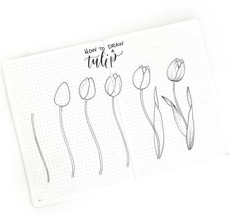 How to Draw a Tulip - Flower Doodles by @bonjournal_ featured on WildflowersAndWanderlust.com #howtodraw #howtodoodle #stepbystep #flower #tulip #howtodrawflower #howtodrawtulip Easy Flower Doodles, Hur Man Ritar Blommor, Tulip Drawing, Easy Flower Drawings, Bujo Doodles, Arte Doodle, Bullet Journal Spreads, Flower Drawing Tutorials, Floral Doodle