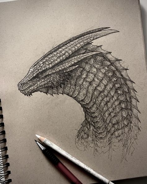 Mikel Rekondo | Final image of Syrax! Swipe for details 🔥Another dragon drawing fanart from House of the Dragon, still more to come!🙌🏼 You can find the… | Instagram Syrax Dragon, Dnd Campaign, Game Of Thrones Dragons, Campaign Ideas, Iron Throne, Creature Drawings, House Targaryen, House Of The Dragon, Dragon Games