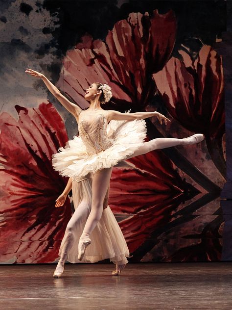 The Australian Ballet, Australian Ballet, Sugar Plum Fairy, Dance Pictures, Sugar Plum, Ballet Dancers, Ballerinas, Plum, Greek Statue