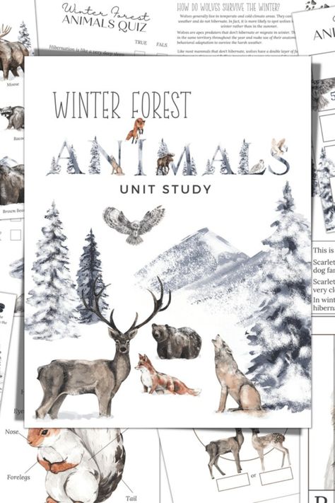 WINTER FOREST ANIMALS Unit Study, Anatomy, Nature Study, Science, Handwriting, Homeschool Printable Fox Anatomy, Winter Forest Animals, Study Anatomy, Study Science, Labeling Activities, Advent Ideas, Winter Unit, Animal Quiz, Wolf Life