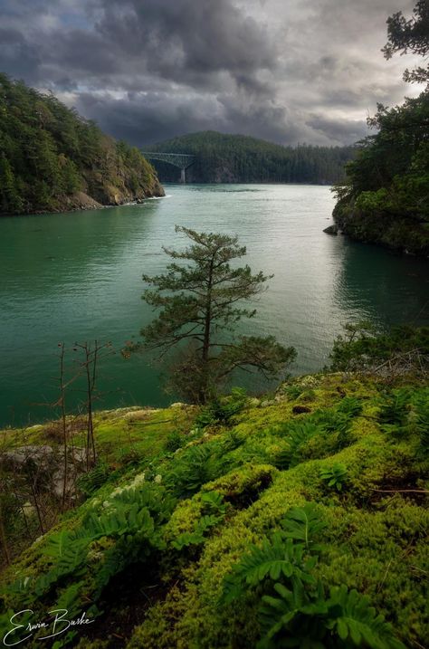 Deception Pass, State Of Mind, Washington State, Ocean View, State Park, State Parks, Washington, Bridge, United States