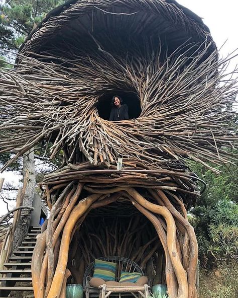 Birds Nest, Giant Bird Art, Giant Nest, Bird Nest Architecture, Birds Nest Bed, Birds Nest Architecture, Garden Retreat Ideas, Life Size Bird Nest, Bushcraft Shelter