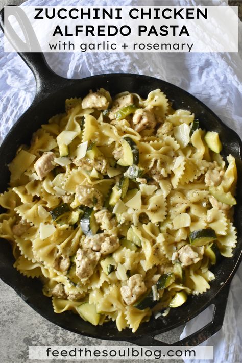 Alfredo Pasta Recipes, Light Alfredo Sauce, Chicken Zucchini Recipes, Chicken Zucchini Pasta, Zucchini Alfredo, Zucchini Chicken, Zucchini Pasta Recipes, Summer Dinner Ideas, Chicken Fettuccine Alfredo