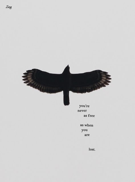 You're never as free as when you are lost. A Quote, Poetry Quotes, Black Bird, Beautiful Words, Inspire Me, Inspirational Words, A Black, Words Quotes, Art Quotes