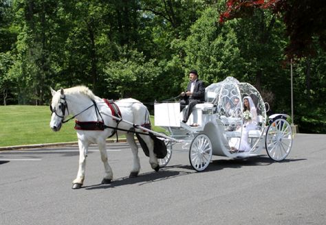 be taken on a carriage ride Parking Courtyard, Horse And Carriage Wedding, Wagon For Wedding, Cinderella Pumpkin Carriage, Wedding Carriage, Cinderella Pumpkin, Horse Wedding, Pumpkin Wedding, Wedding Transportation