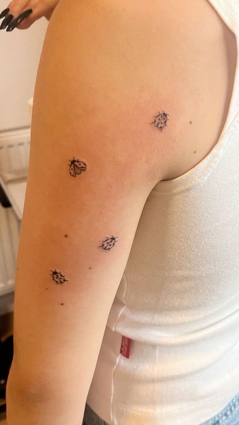 Lady Bird Tattoo, Ladybugs Tattoo, Ladybug Tattoo, Beetle Tattoo, Garden Tattoos, Lady Bug Tattoo, Bug Tattoo, Insect Tattoo, Tree Tattoo Designs