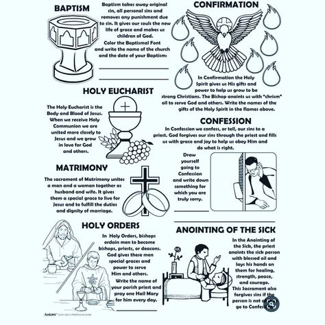 TheTruechurch_CatholicChurch on Instagram: “The Seven Sacraments” The Seven Sacraments, Jesus Art Drawing, Seven Sacraments, Jesus Wallpaper, Religious Education, Jesus Art, The Seven, Art Drawing, Words Quotes