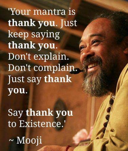 Mooji Quotes, Spiritual Awakening Quotes, Awakening Quotes, Believe In Miracles, Meditation For Beginners, Meditation Quotes, Spiritual Enlightenment, Spiritual Inspiration, Spiritual Awakening