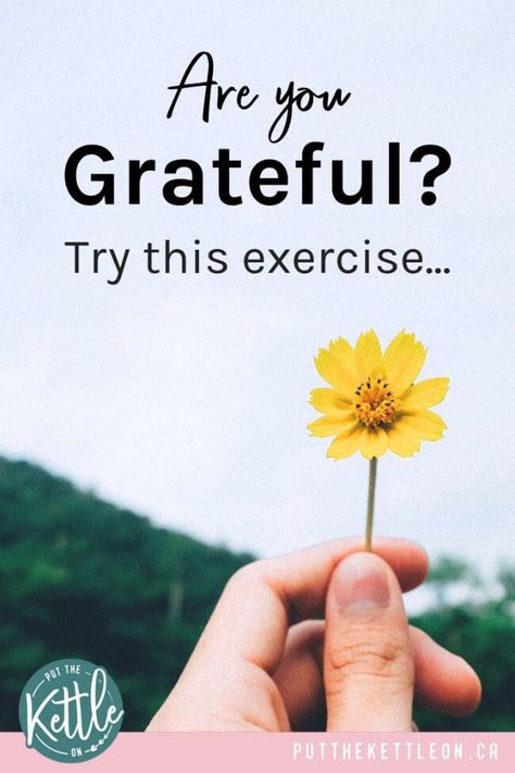 Are you grateful? Try this exercise... and learn the Importance of gratitude and how to be grateful in life, plus learn to change your focus and be thankful. #grateful #gratitude #thankful #happiness #thankfulness #thanksfulthursday Gratitude Lesson, Gratitude Changes Everything, How To Become Happy, Gratitude Activities, Gratitude Journal Prompts, Gratitude Challenge, Gratitude Affirmations, Attitude Of Gratitude, True Happiness