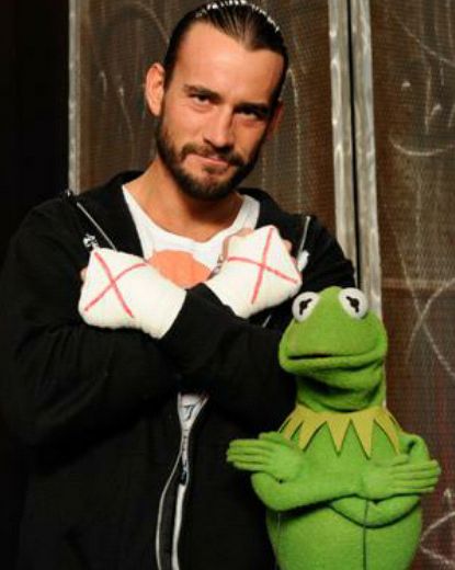 CM Punk & Kermit. Punk Pictures, Cm Punk Aj Lee, Wwe Funny Pictures, Wwe Funny, Cult Of Personality, Aj Lee, Wwe Legends, Wwe World, Wrestling Superstars